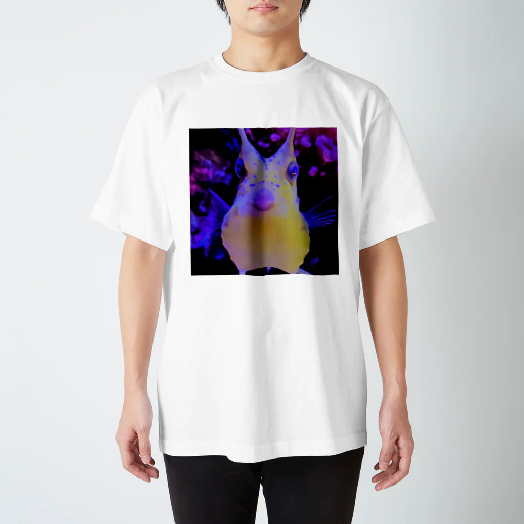 anoteのLonghorn cowfish スタンダードTシャツ