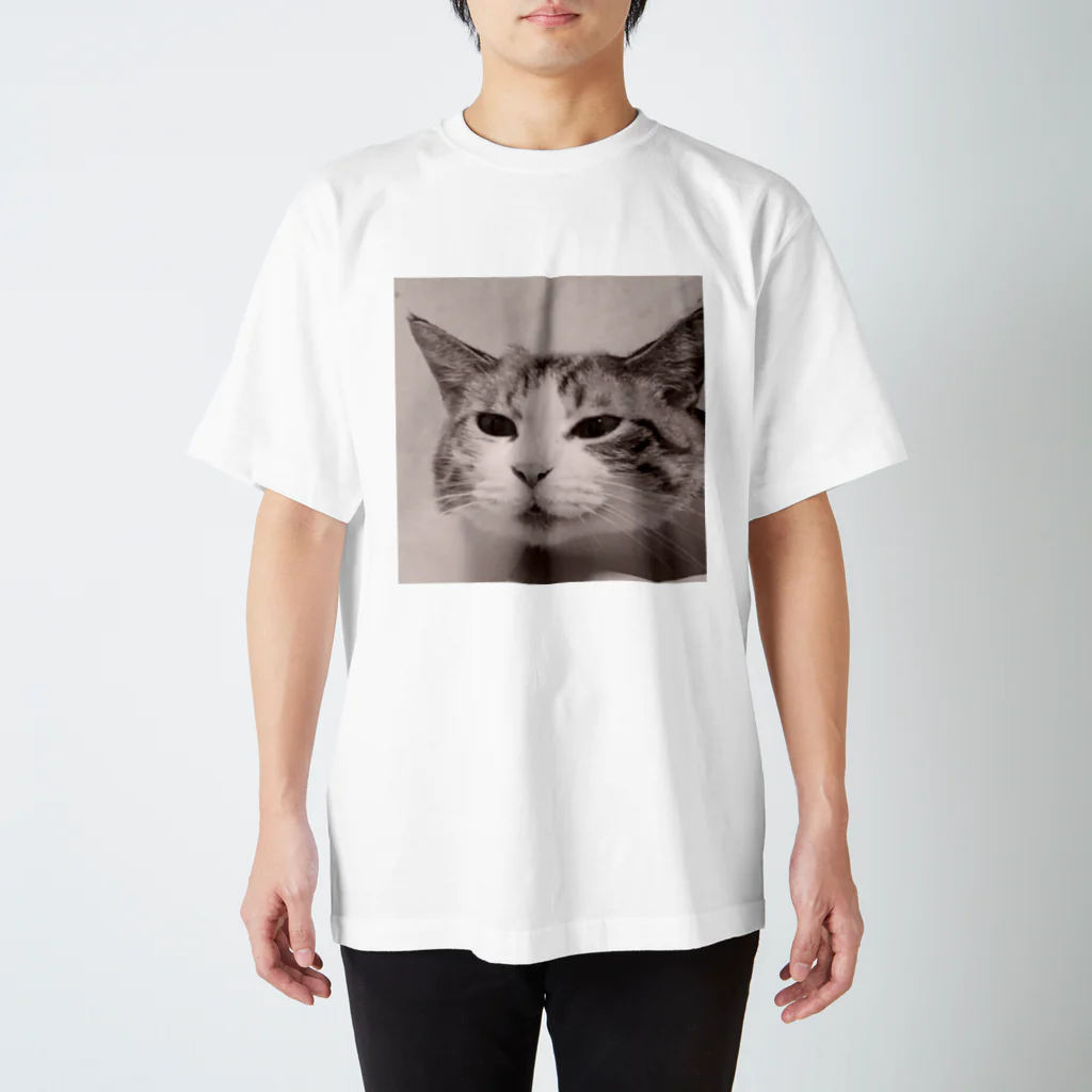 ジョリーマンダリンのSneezing cat スタンダードTシャツ