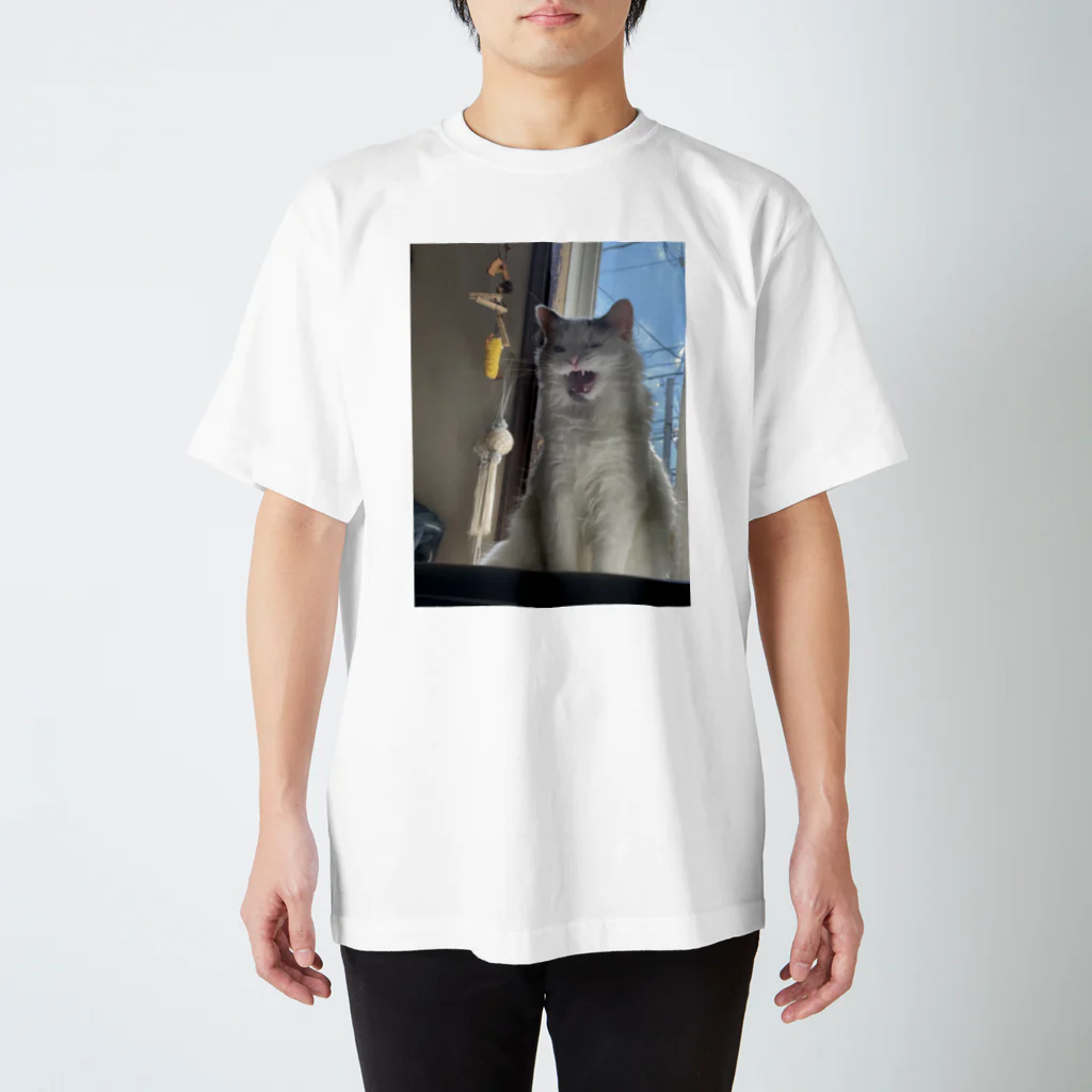 pagumiのわたあくびTシャツ Regular Fit T-Shirt