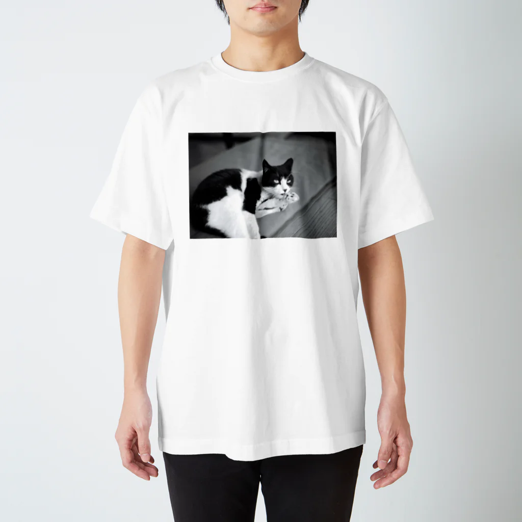 shop BBTHRの猫CAT Regular Fit T-Shirt