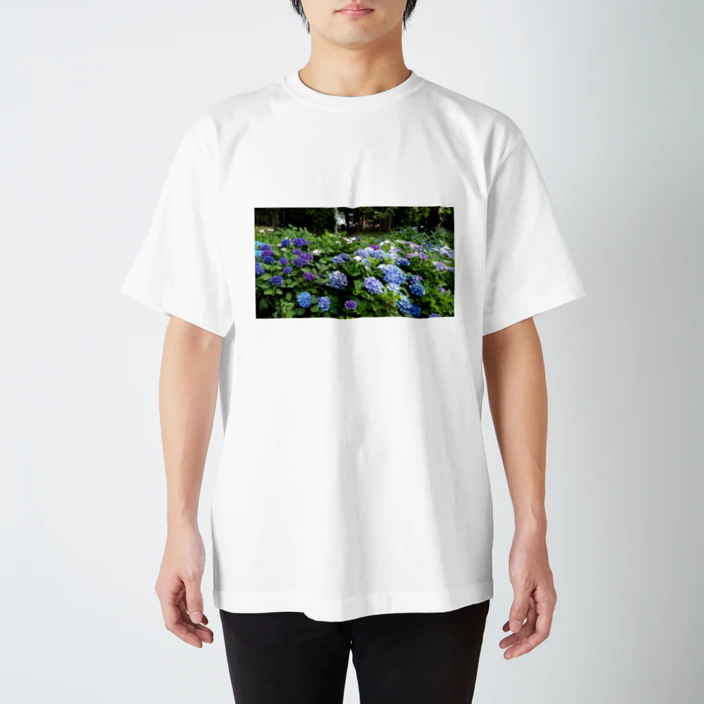 ソラウマの紫陽花 Regular Fit T-Shirt