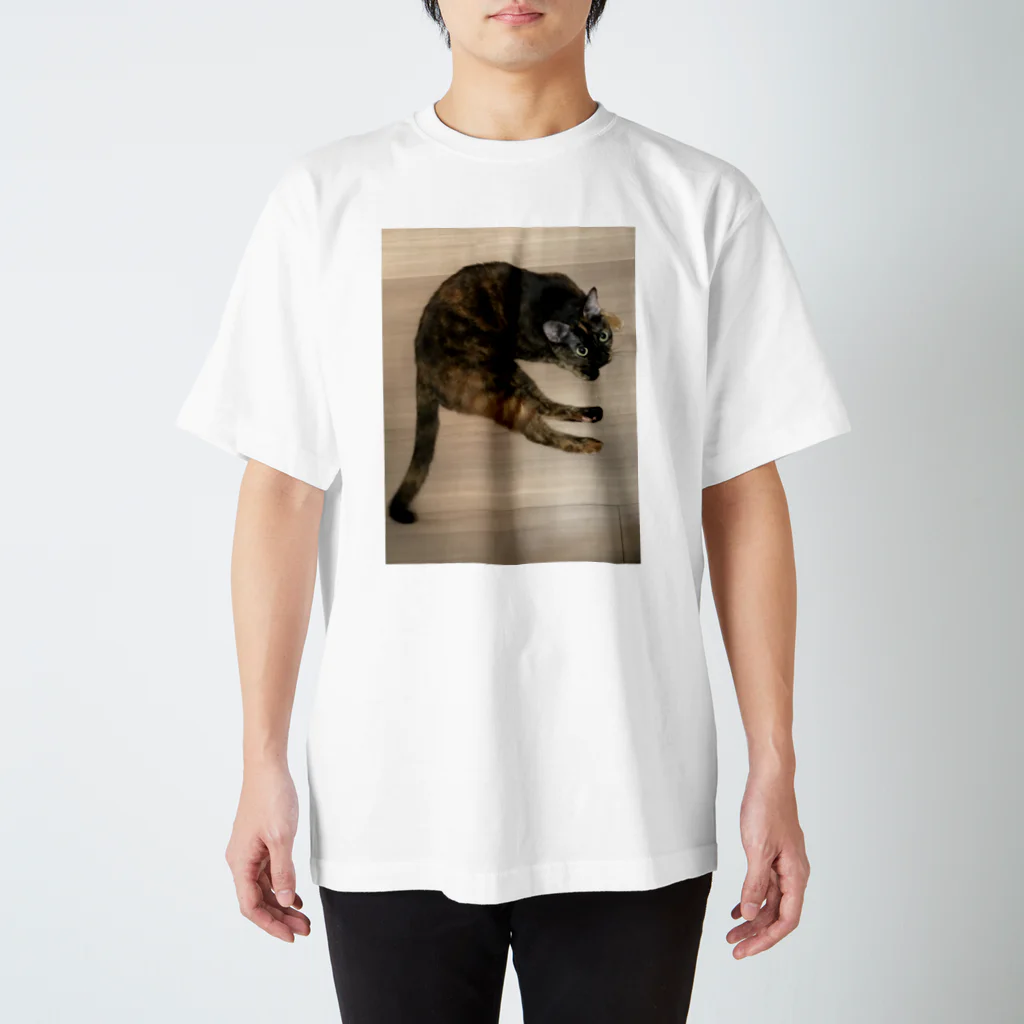 minequitaのサビ猫タビ スタンダードTシャツ