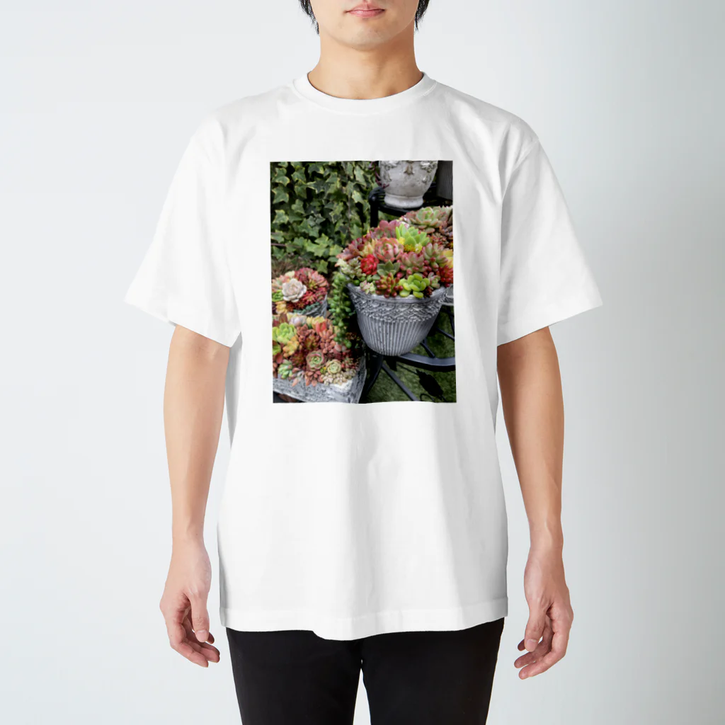 cocoagardenの多肉植物　寄せ植え Regular Fit T-Shirt