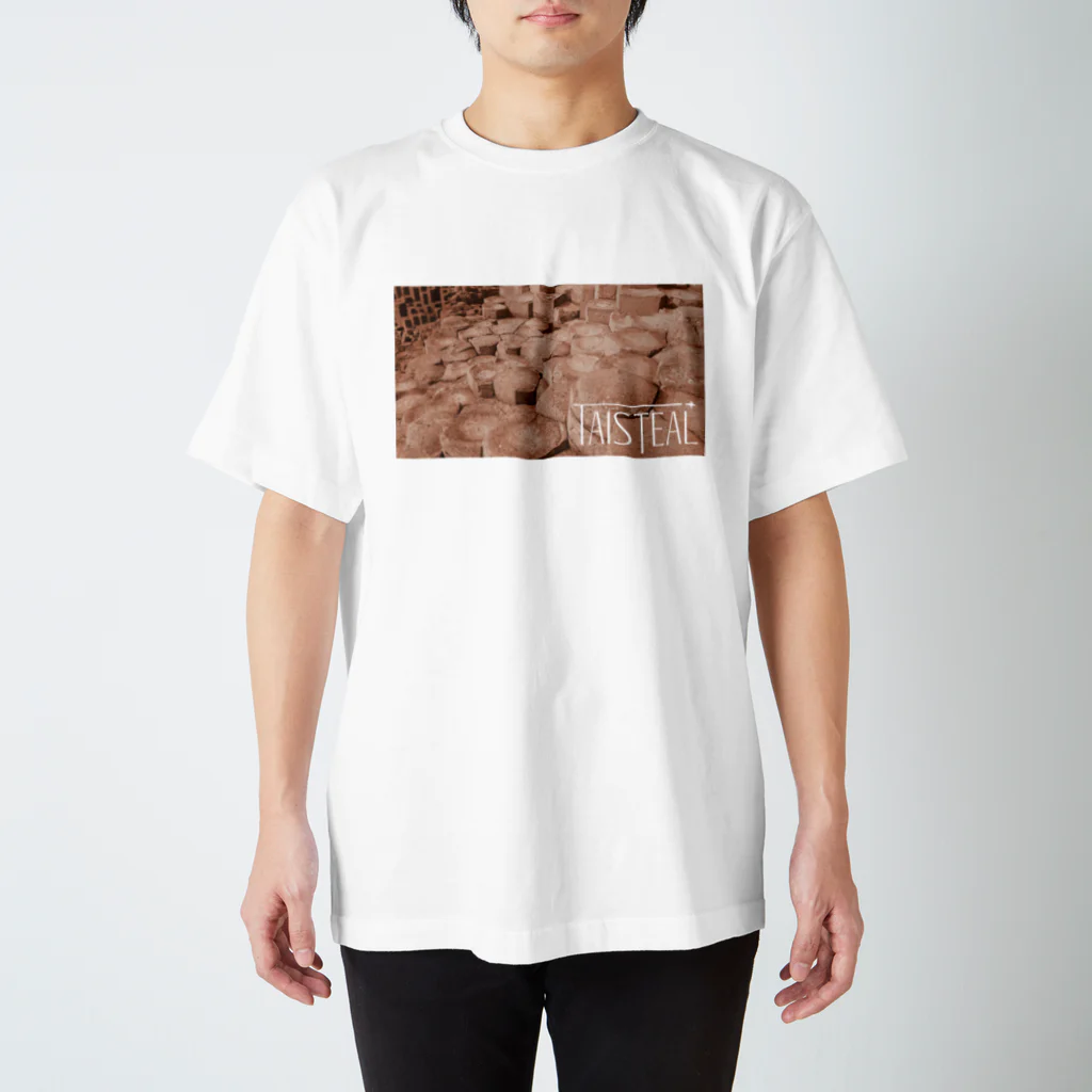 フォーヴァの北アイルランド2－taisteal－タシテル－ Regular Fit T-Shirt