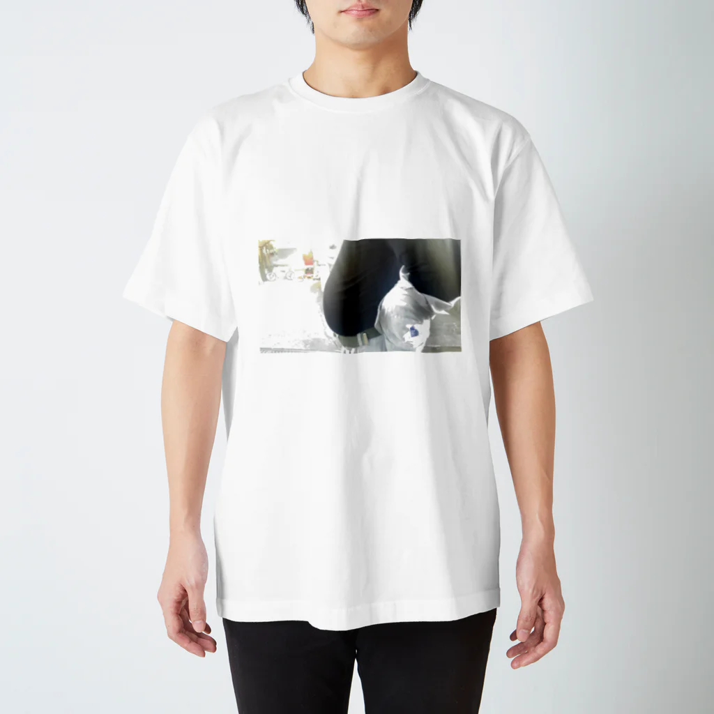 どすこいのつまってる Regular Fit T-Shirt