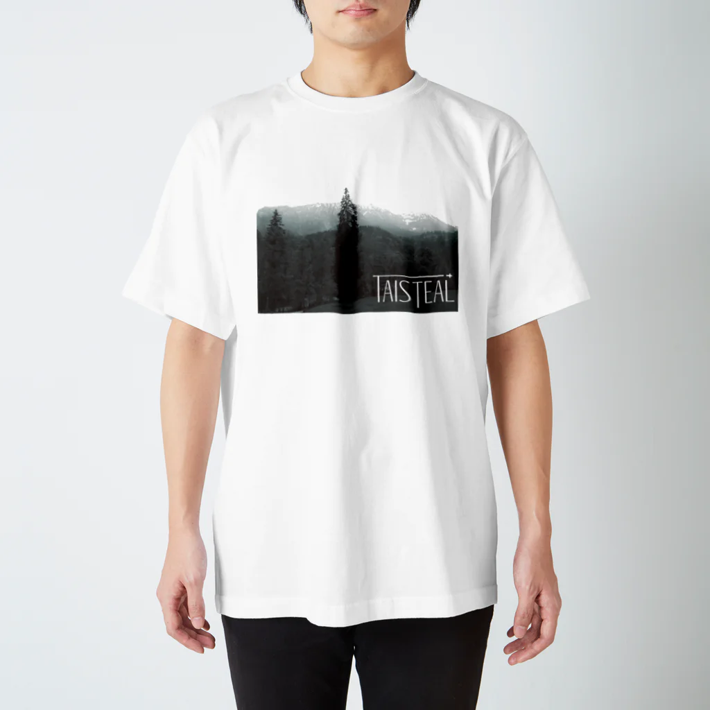 フォーヴァのドイツ2－taisteal－タシテル－ Regular Fit T-Shirt