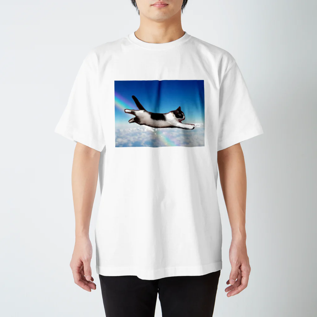 石川さん………。の空飛ぶきょんきょん スタンダードTシャツ