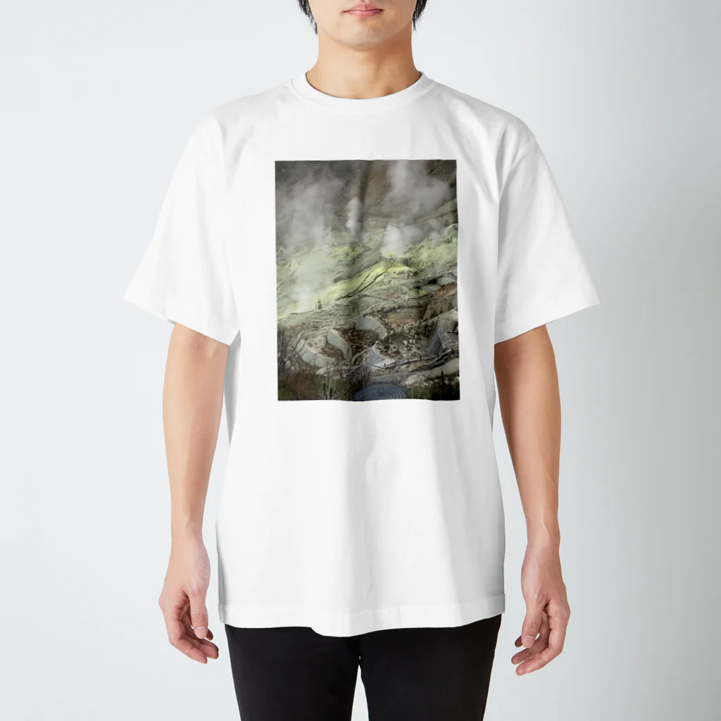 haru haruのスゴイ洋服 Regular Fit T-Shirt