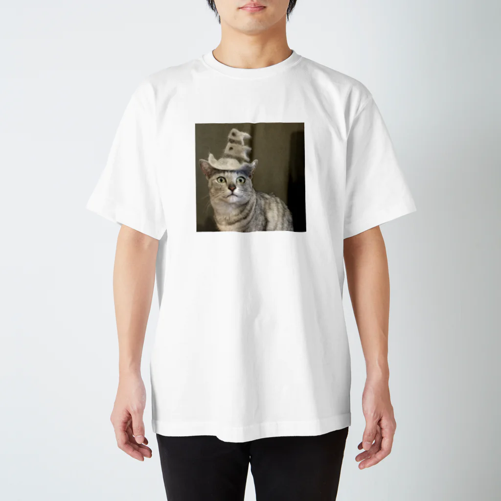 ミロルナの鯉のぼり猫　抜け毛チャレンジ スタンダードTシャツ