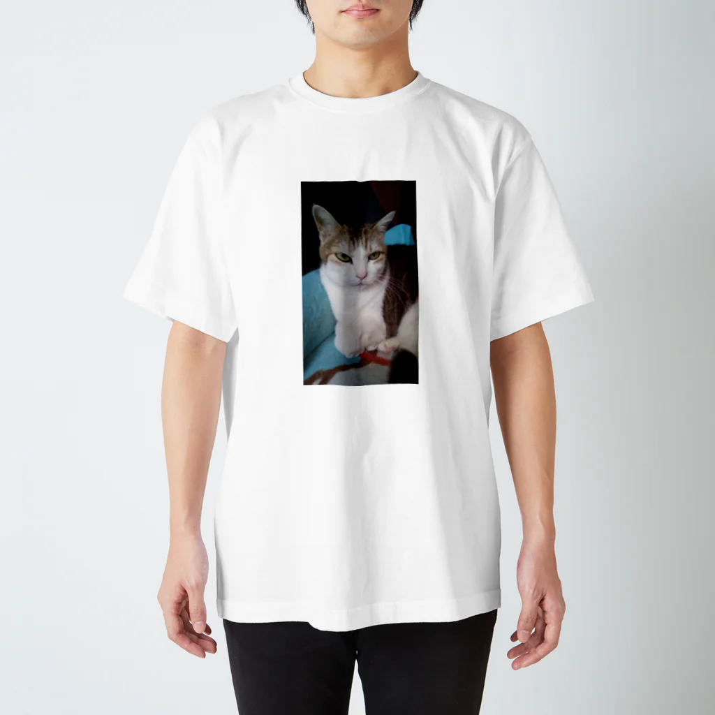 身代わりNOの愛猫 スタンダードTシャツ