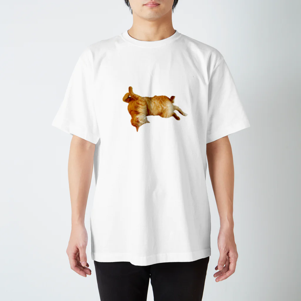 のすの落ちてる猫2 スタンダードTシャツ