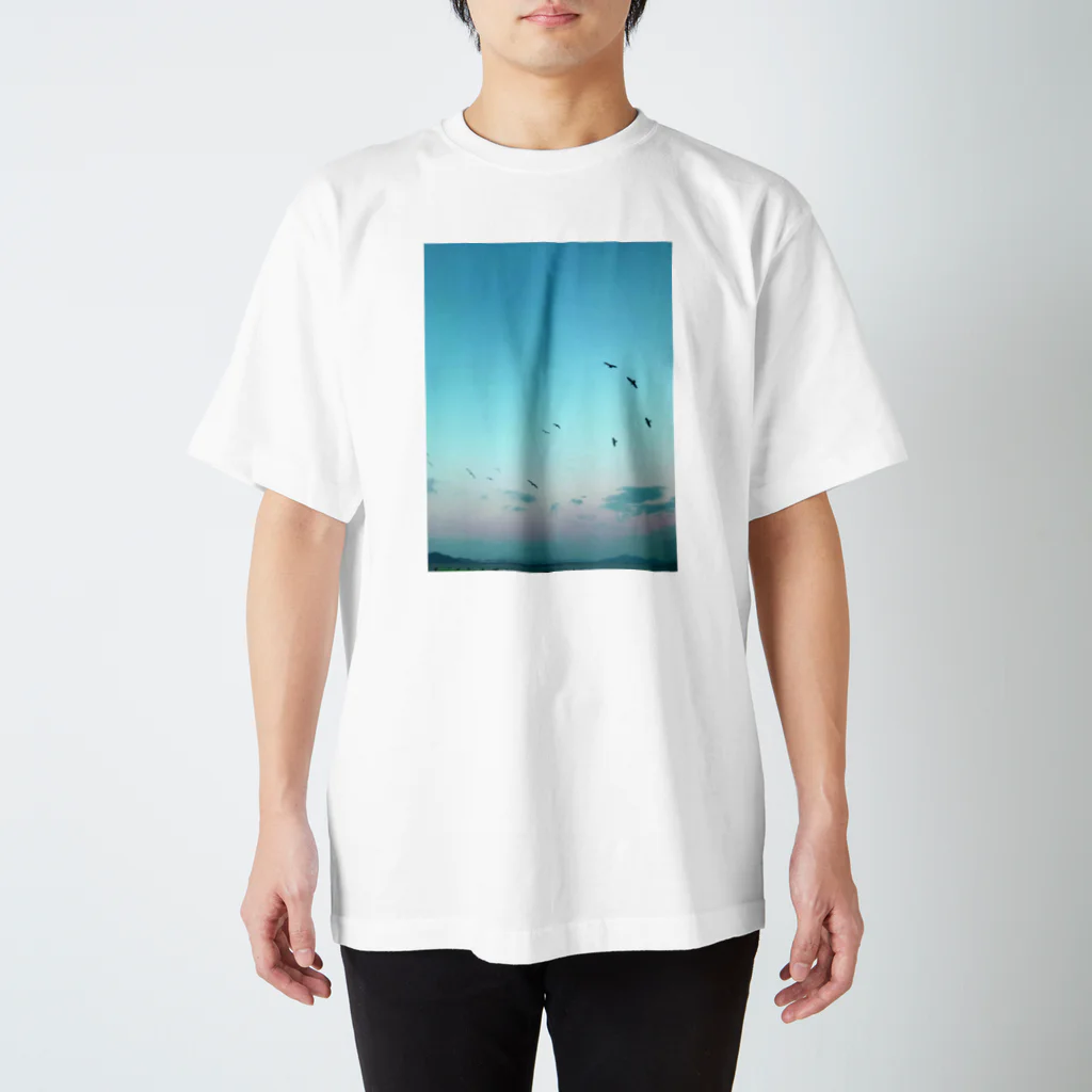 _ashita_の広島の海辺の鳥たち Regular Fit T-Shirt