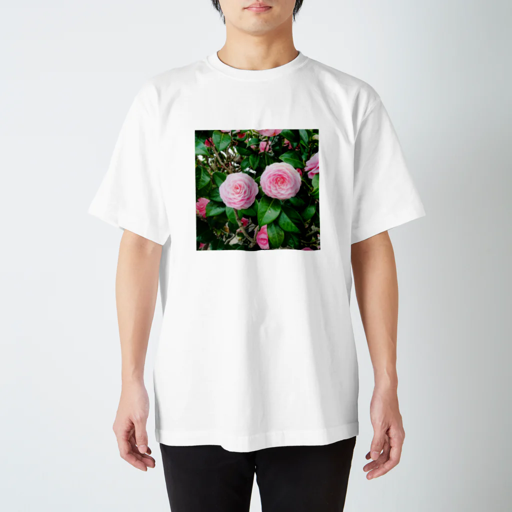 おしょう！🌍今を生きる現代人のまちかどの乙女椿 スタンダードTシャツ