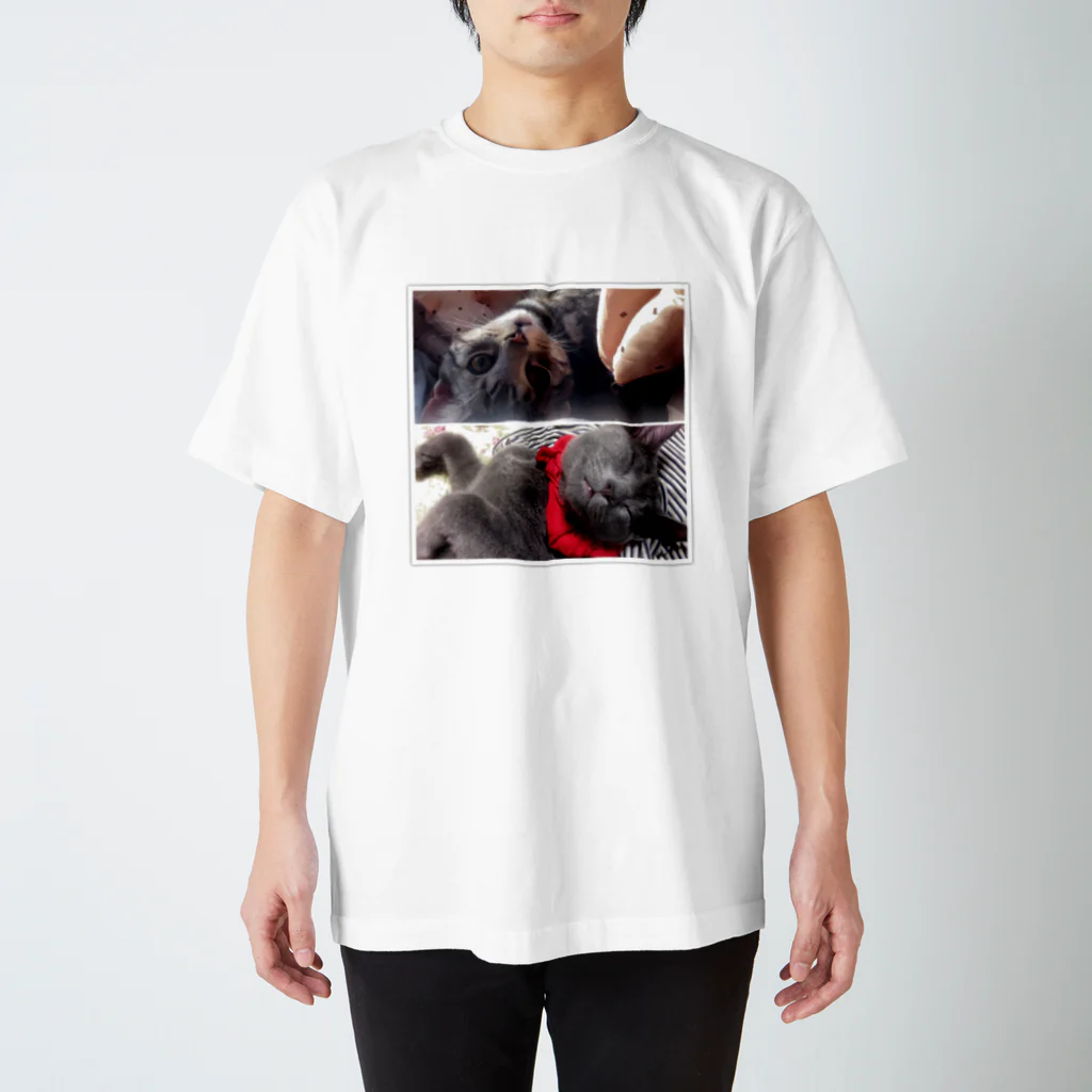Tのショップのアメショ＆ロシブル Regular Fit T-Shirt