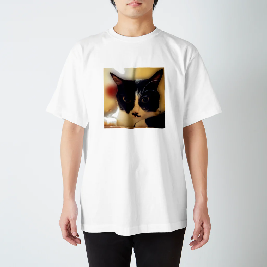 はっちゃんhachiko8535のhachiko2 Regular Fit T-Shirt