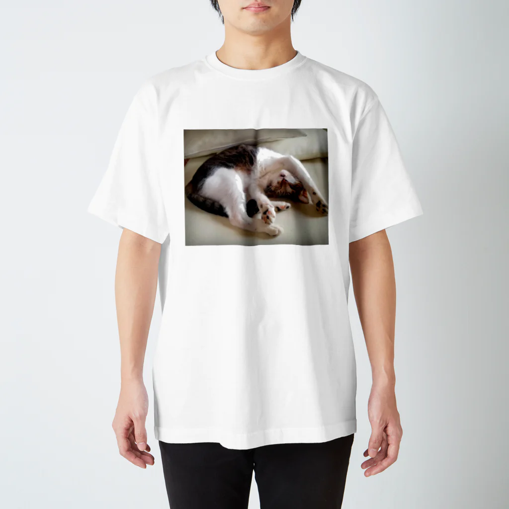 momoの猫「てつじ」ばんざい Regular Fit T-Shirt