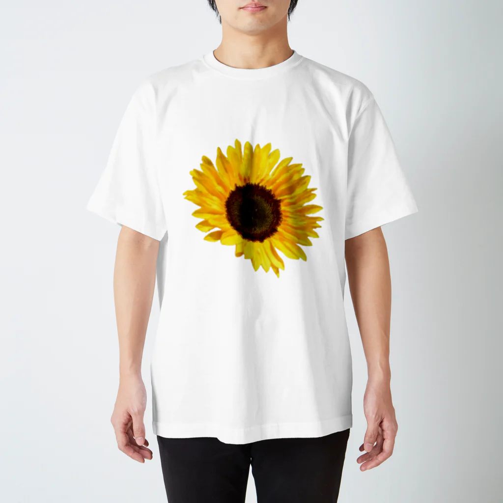 またたび工房の太陽の花 Regular Fit T-Shirt