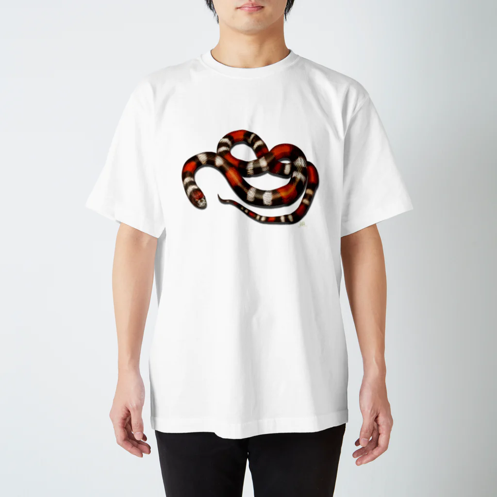 七海ルシアのドラゴンショップの猛毒ヘビ！ブラジルサンゴヘビくんTシャツ スタンダードTシャツ
