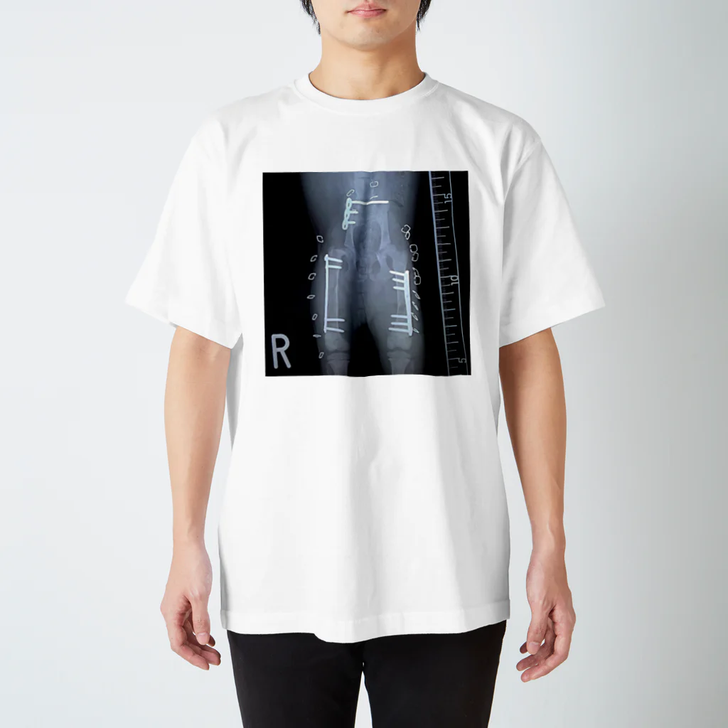 ベッキーちゃん支援グッズのスケルトンベッキーちゃん Regular Fit T-Shirt