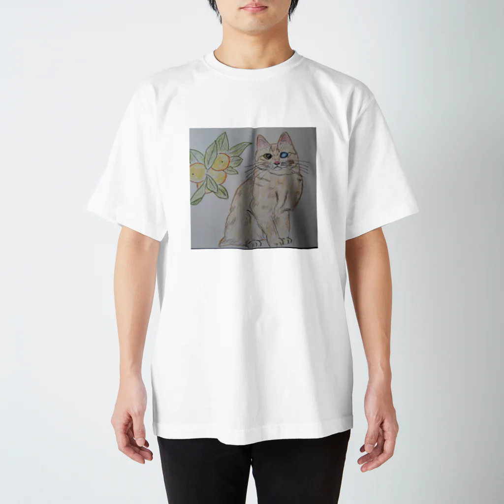 あやめのジューシー金柑ちゃん スタンダードTシャツ