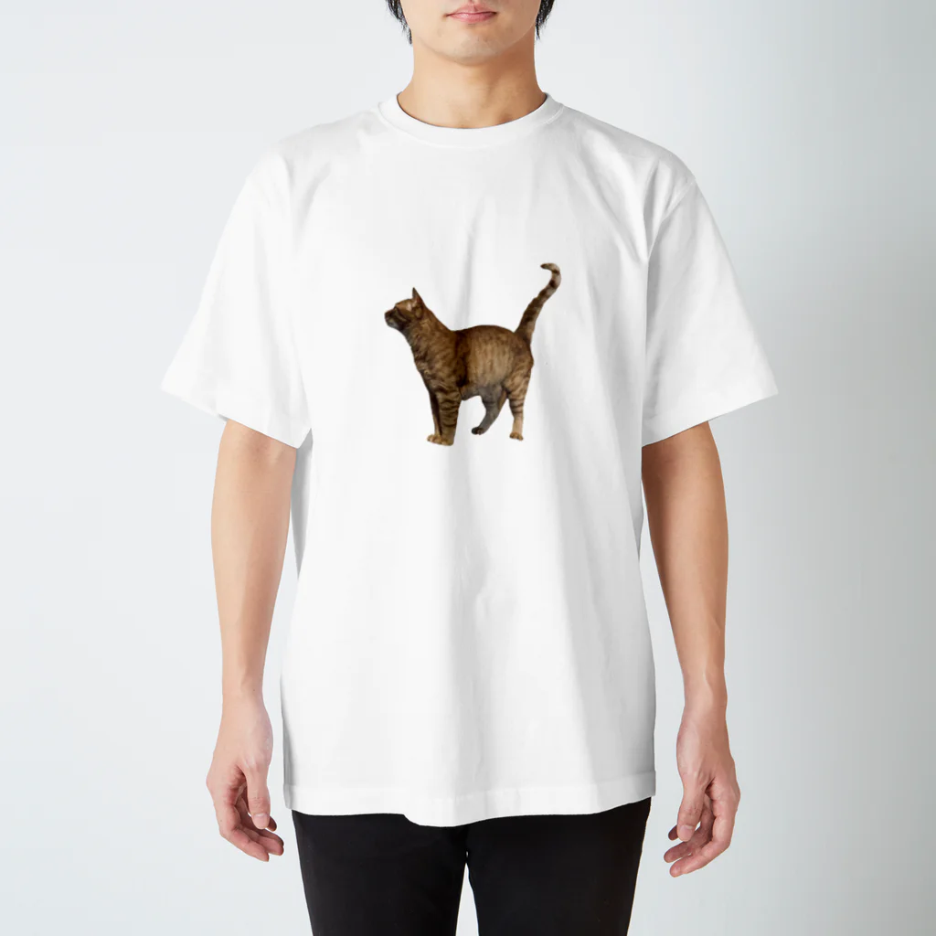 ナカムラショップのひとんちの猫Tシャツ（横） スタンダードTシャツ