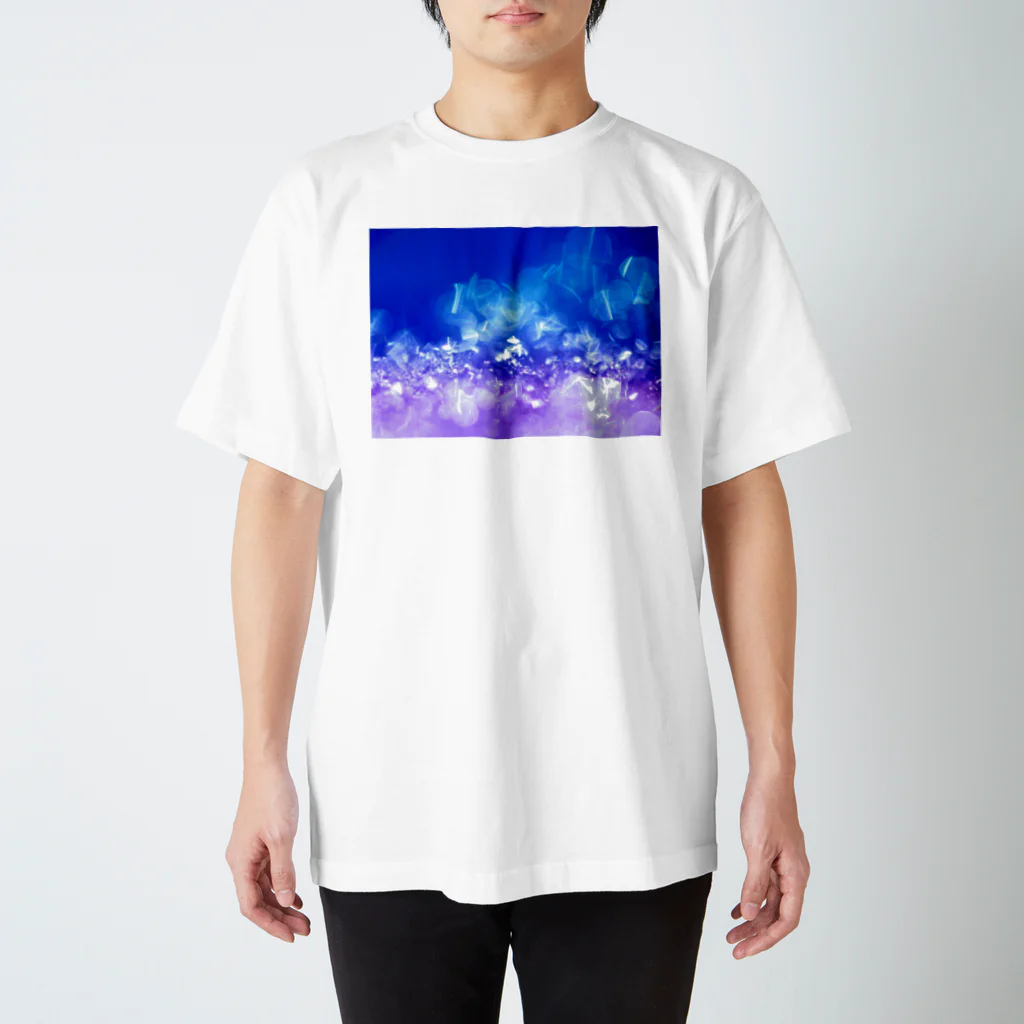 photo-kiokuのICE スタンダードTシャツ