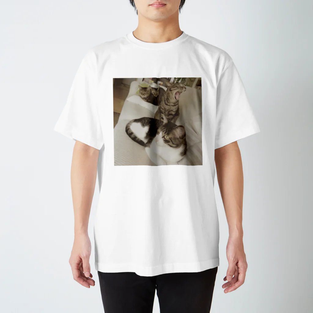 hiramekiの猫屋敷 スタンダードTシャツ