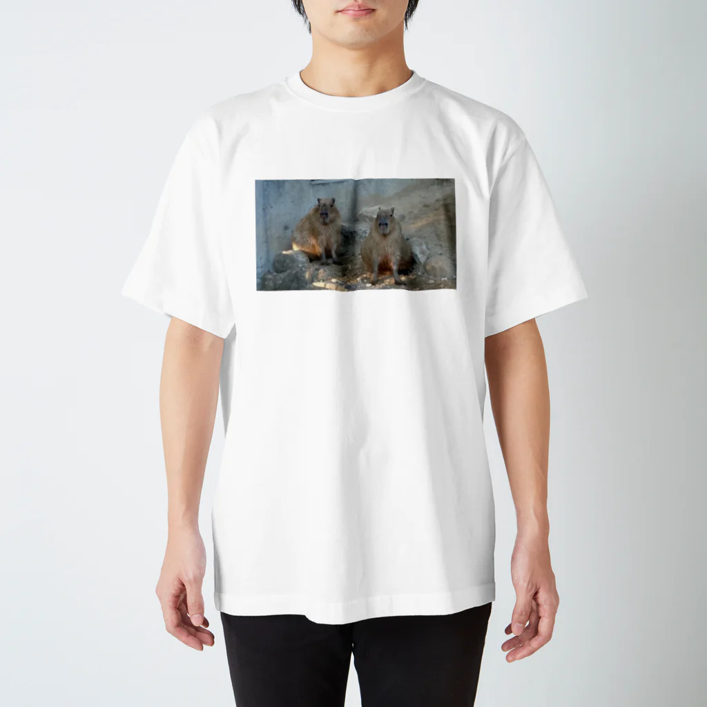 かなごろうのカピバラ Regular Fit T-Shirt