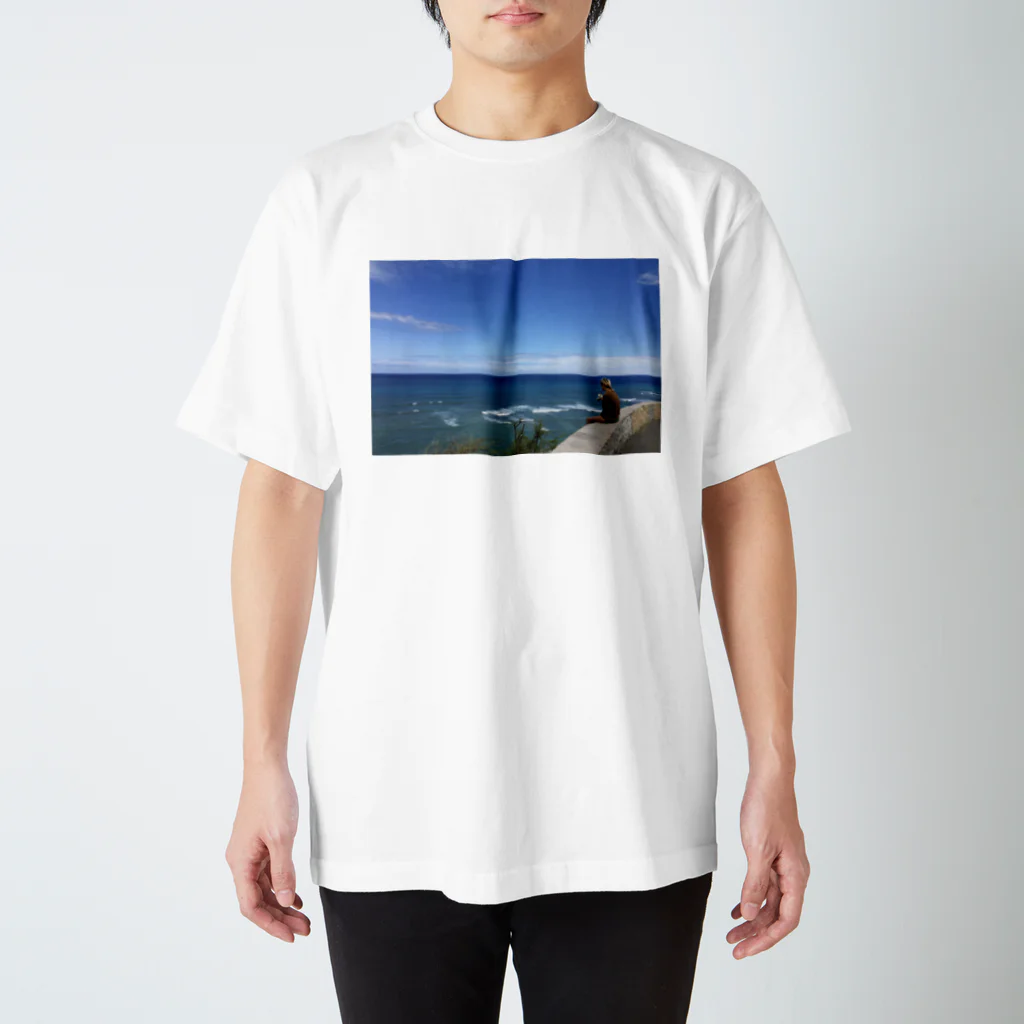 OPTIMISMのHawaiianフォトスリーブ スタンダードTシャツ