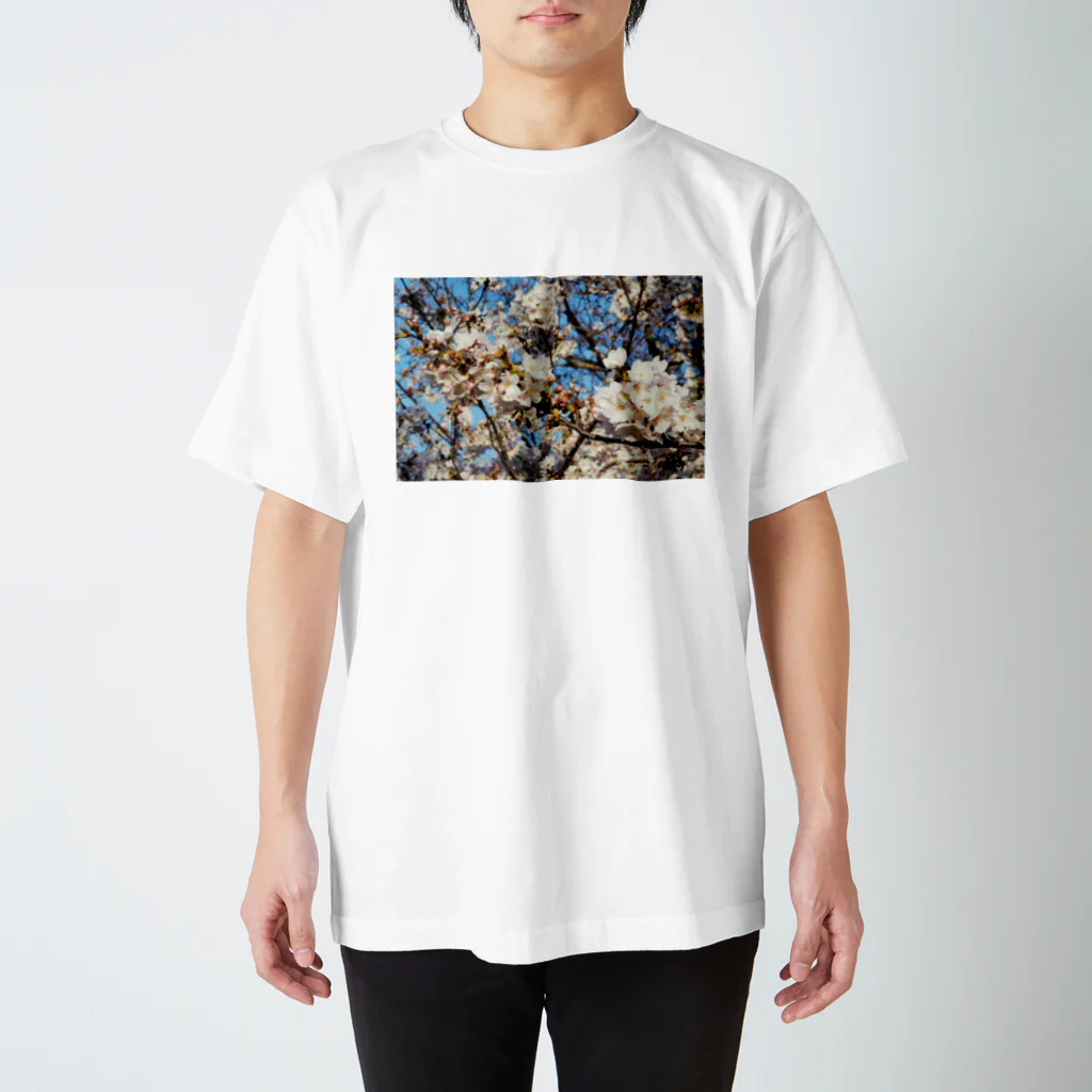 ハチドリ販売所の日本の春 桜B Regular Fit T-Shirt