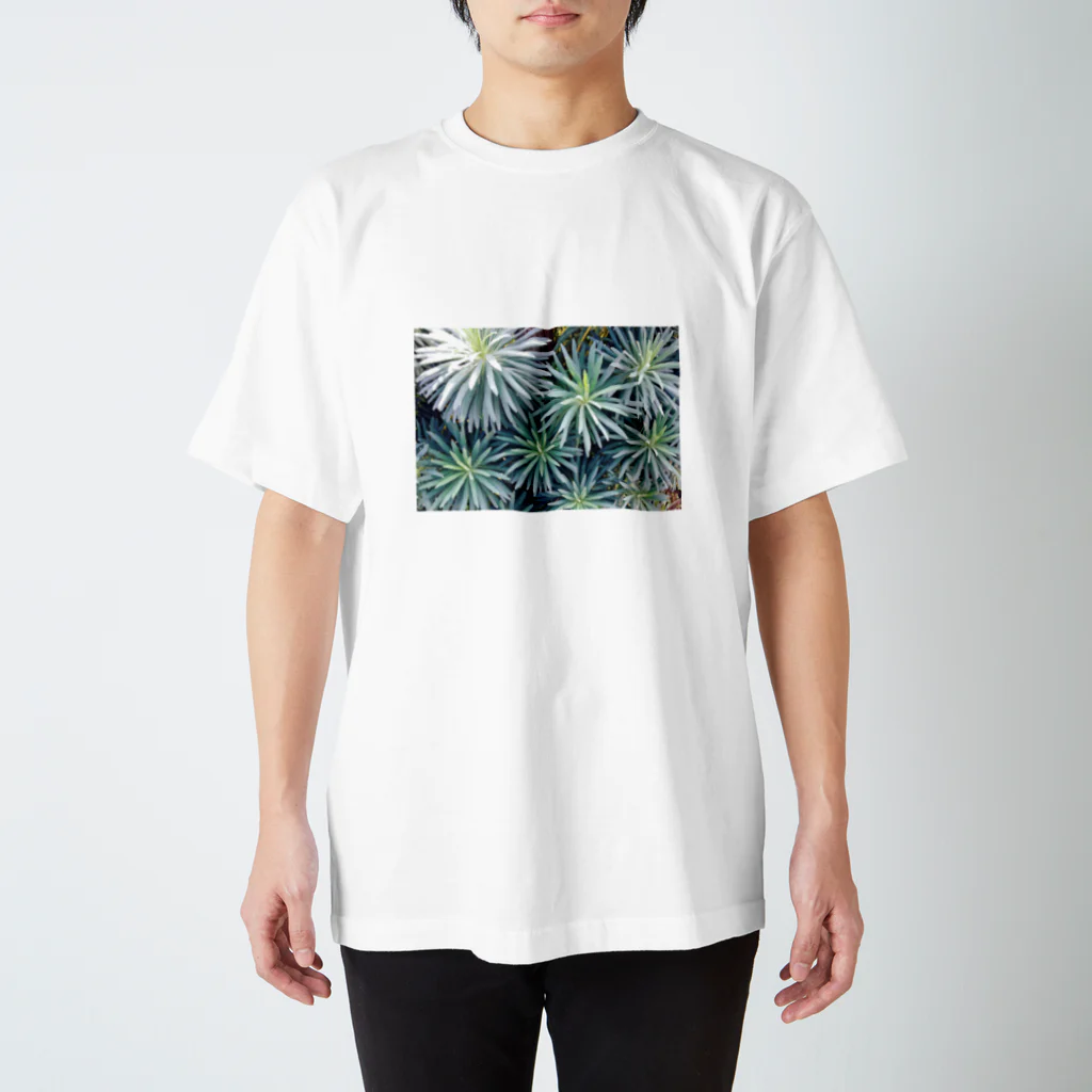 momolmomoの生い茂ったTシャツ Regular Fit T-Shirt