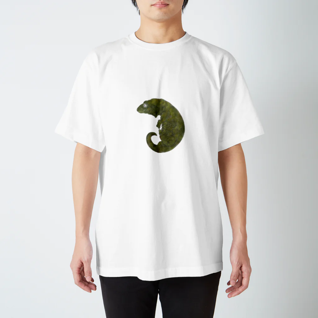 Syuto Hosoyaの苔むすジャイゲコ Regular Fit T-Shirt