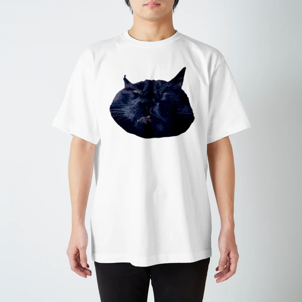 konekonoteのくろまんじゅう Regular Fit T-Shirt