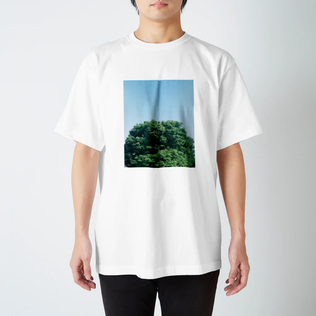 kota nakagawaのtree on film #1 Regular Fit T-Shirt