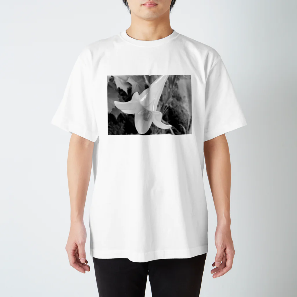 いぐれーく / Igreequeのユリ / The lily Regular Fit T-Shirt