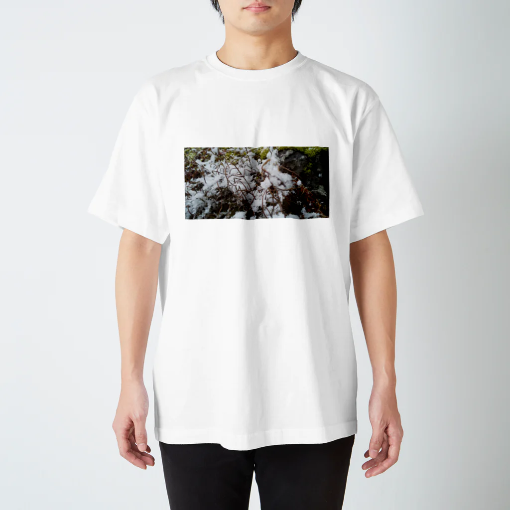 丸山杏果の積もる庭 スタンダードTシャツ