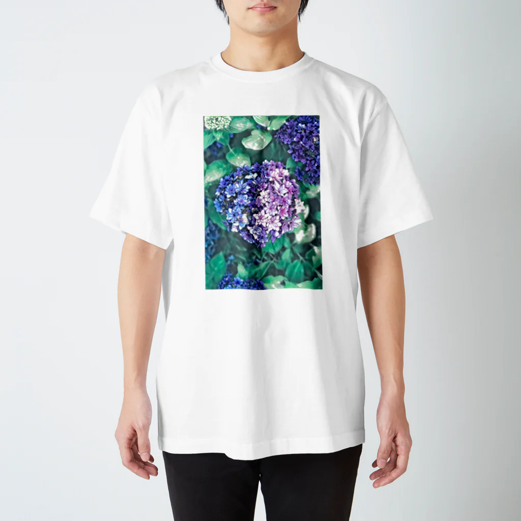 KAPPAの紫陽花 スタンダードTシャツ