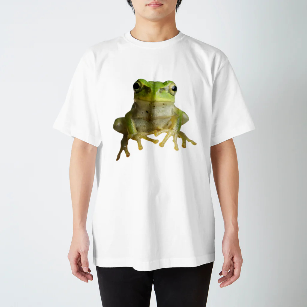 石田 汲の2D-Frog ver.01 スタンダードTシャツ