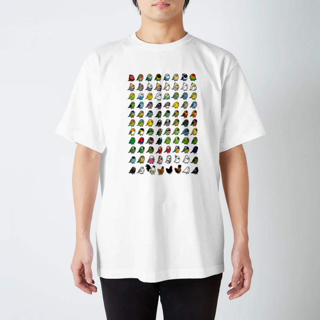 Cody the LovebirdのChubby Bird 鳥さん大集合 スタンダードTシャツ