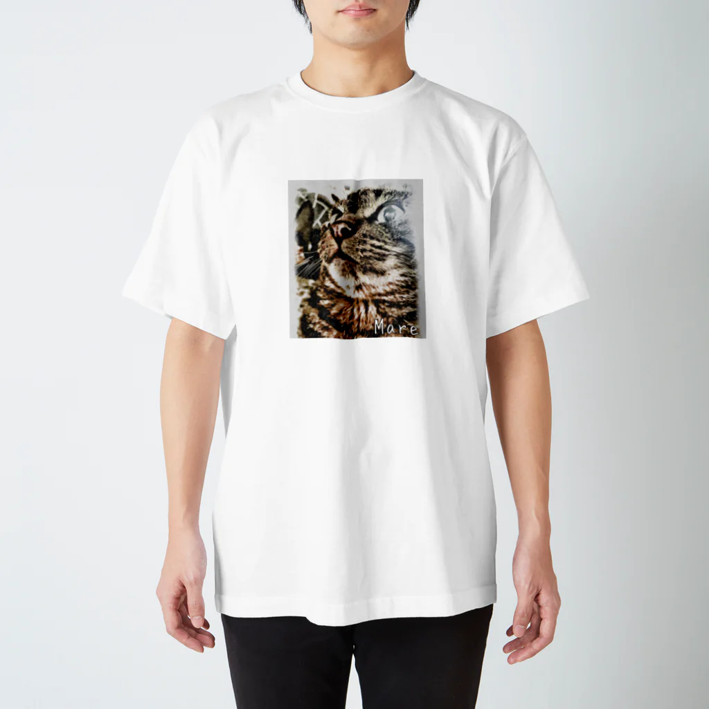 ねこのmareマールのねこのMareマール スタンダードTシャツ