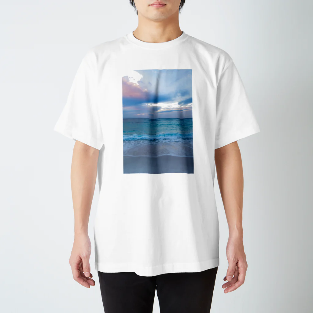 chobi×wakaのshrahama001 Regular Fit T-Shirt