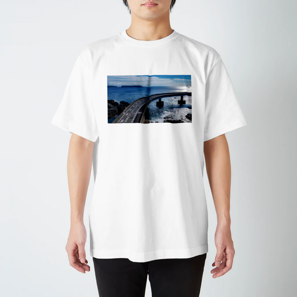 chobi×wakaのkushimotoohashi001 Regular Fit T-Shirt