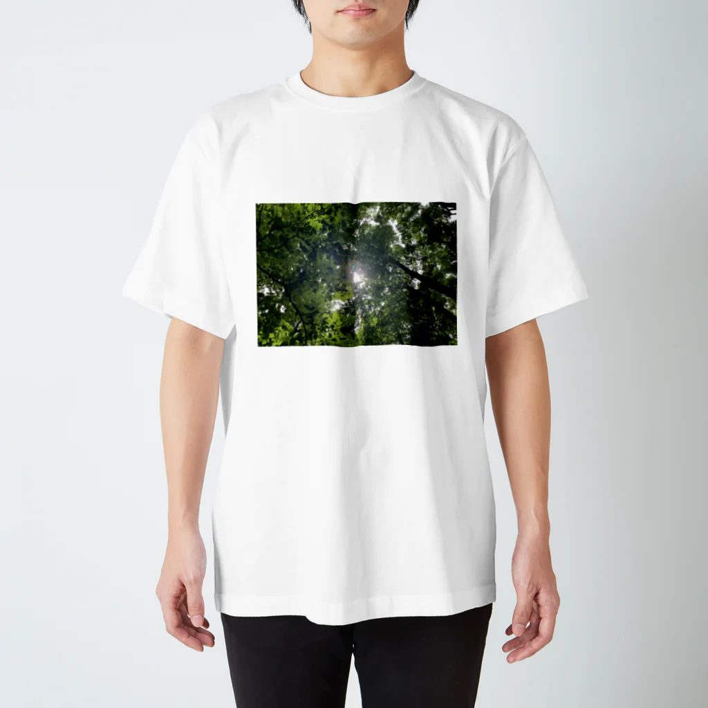 四つ葉🍀の森の木漏れ日 スタンダードTシャツ