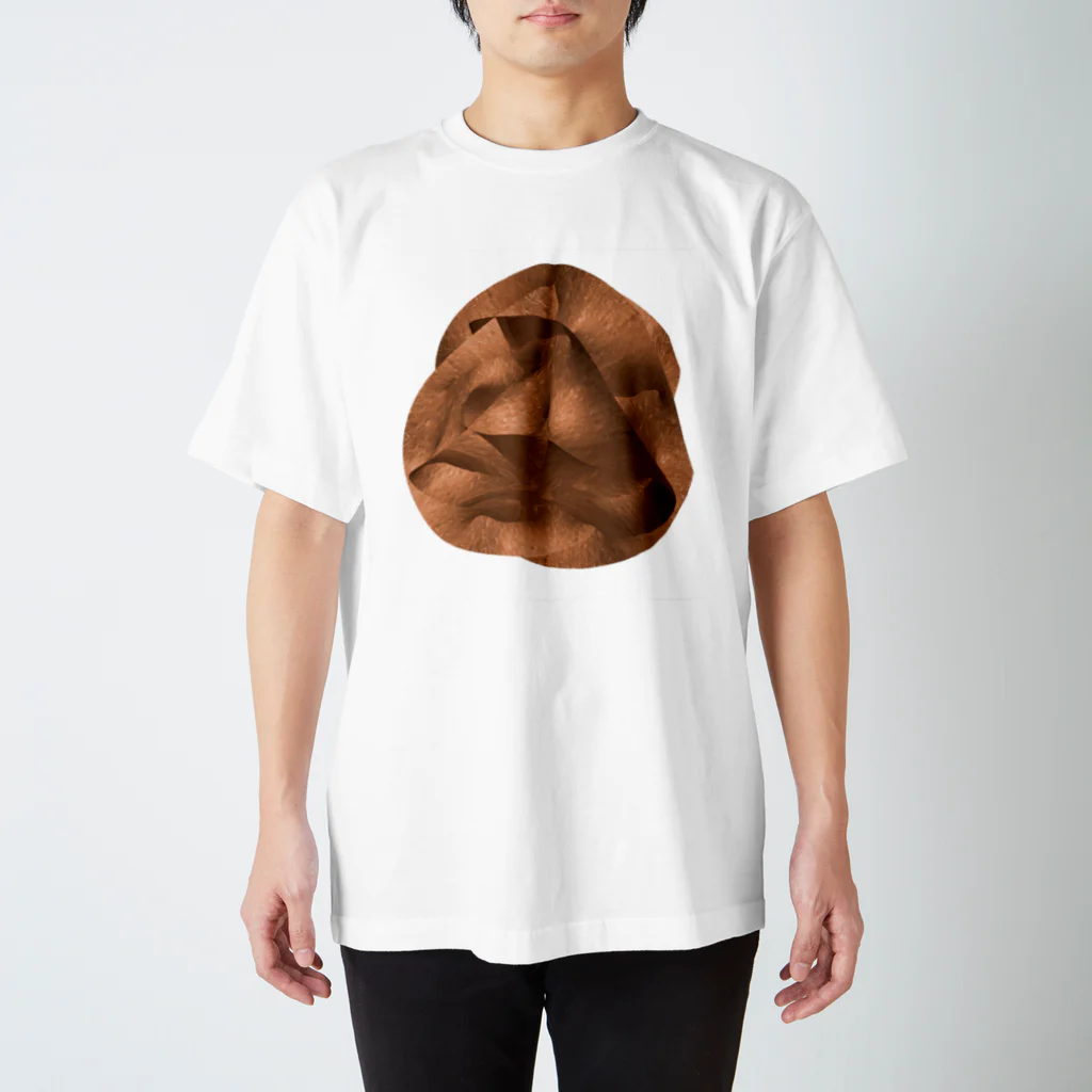akihiro kubotaの6dimbody-1 スタンダードTシャツ