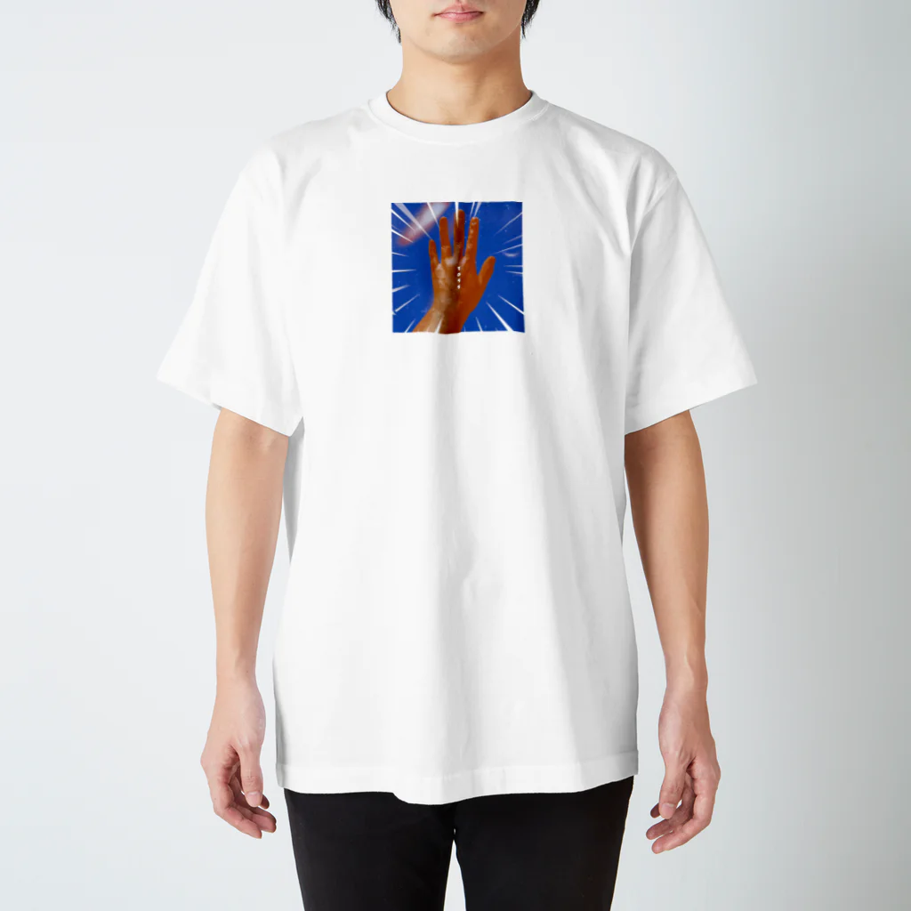 ついうんかっりの裏を見てみましょうね。 Regular Fit T-Shirt