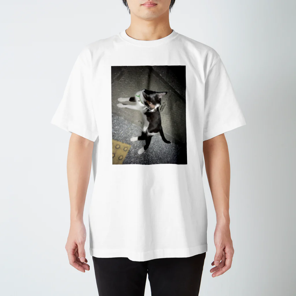 my_loverの鈴野良ネコ Regular Fit T-Shirt