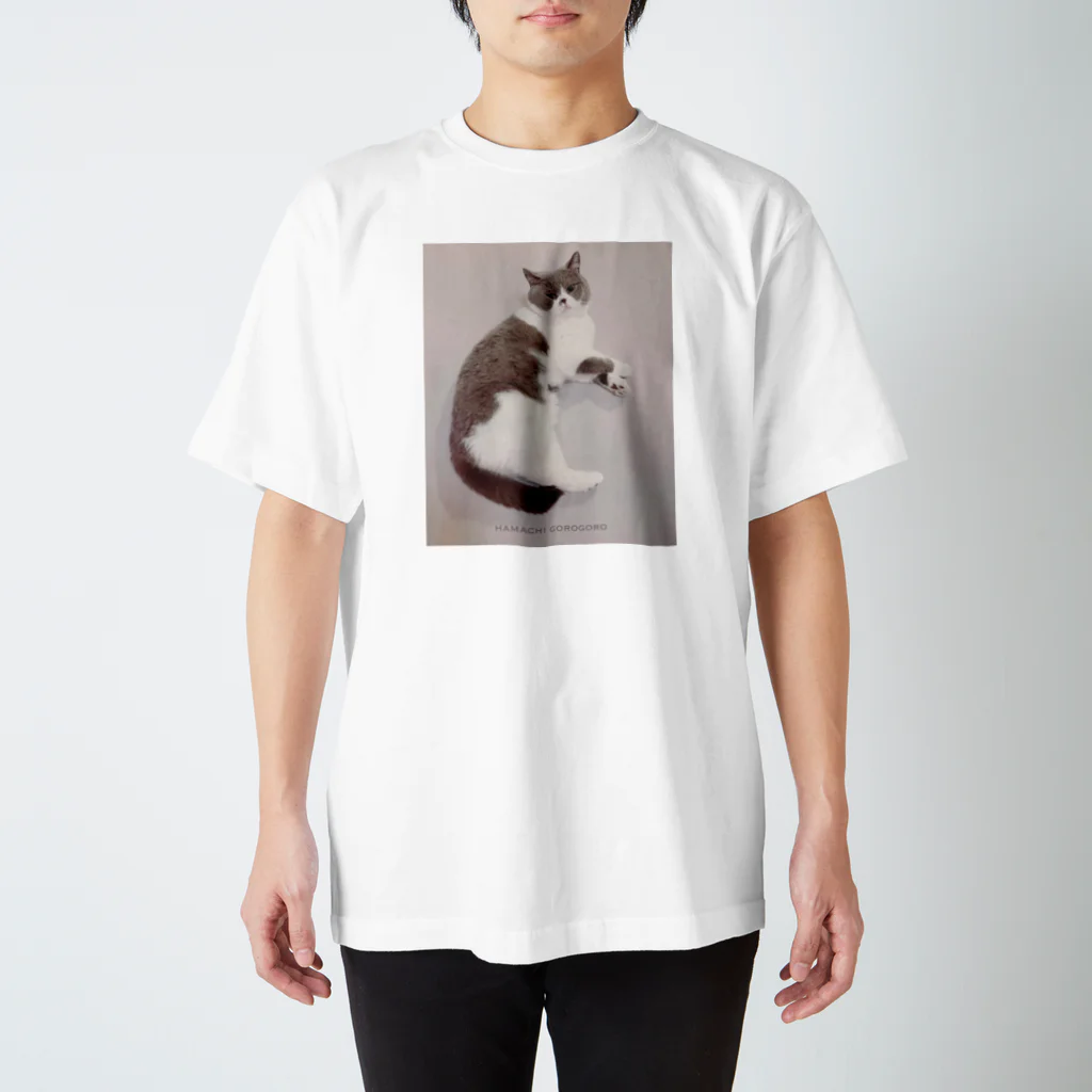 gorogoroのはまちごろごろ Regular Fit T-Shirt