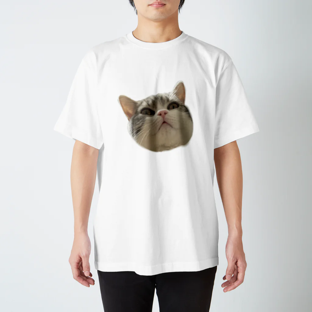 わんこせんせい🐶のほっちきちー Regular Fit T-Shirt