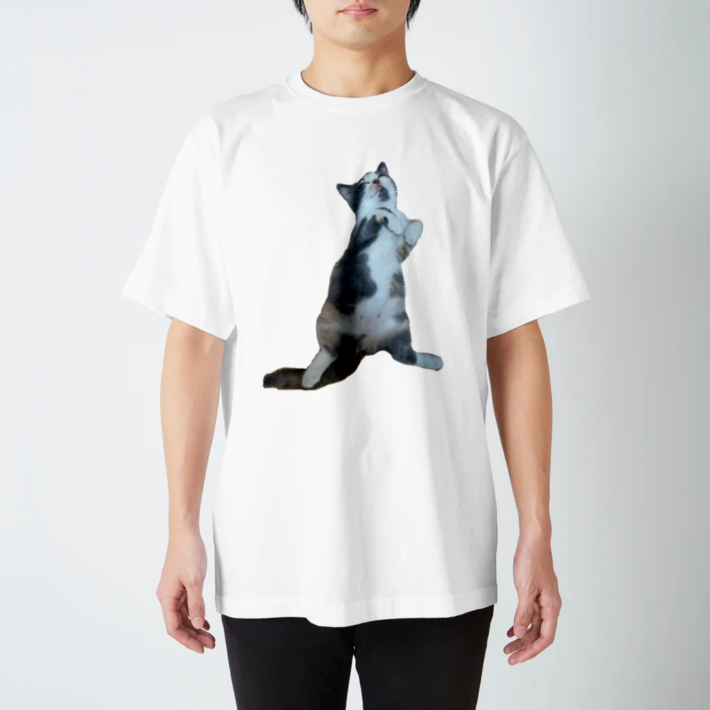 ねこのジゼルのへそ天 スタンダードTシャツ