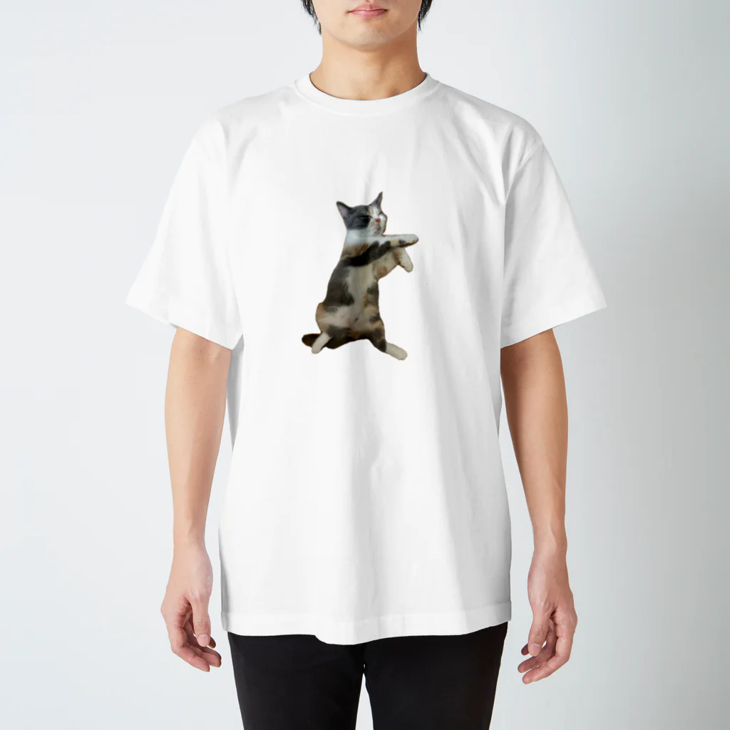 ねこのジゼルのヘソ天Ⅱ スタンダードTシャツ